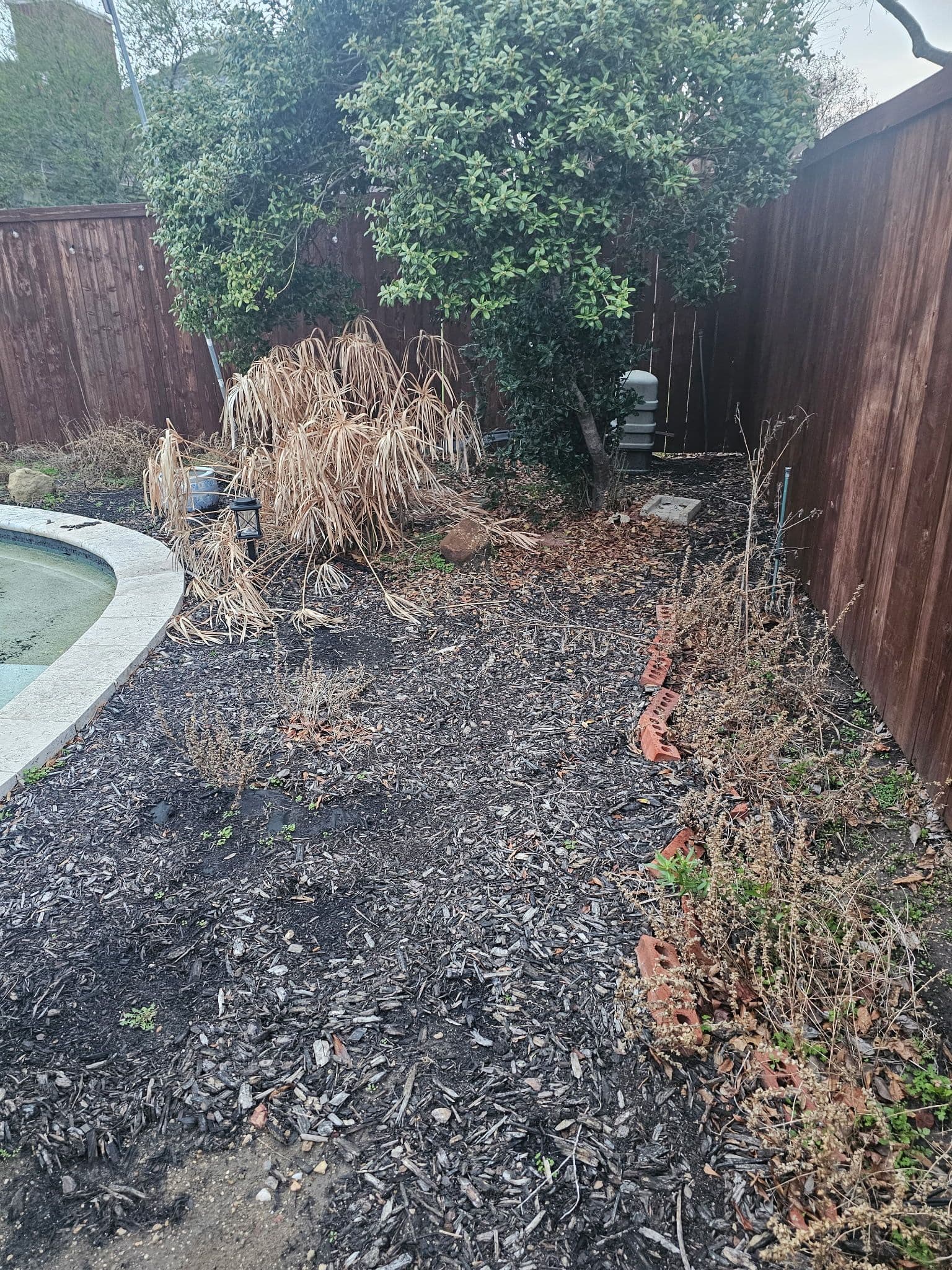 Gallery photos for Backyard Refresh in Flower Mound: Image #2