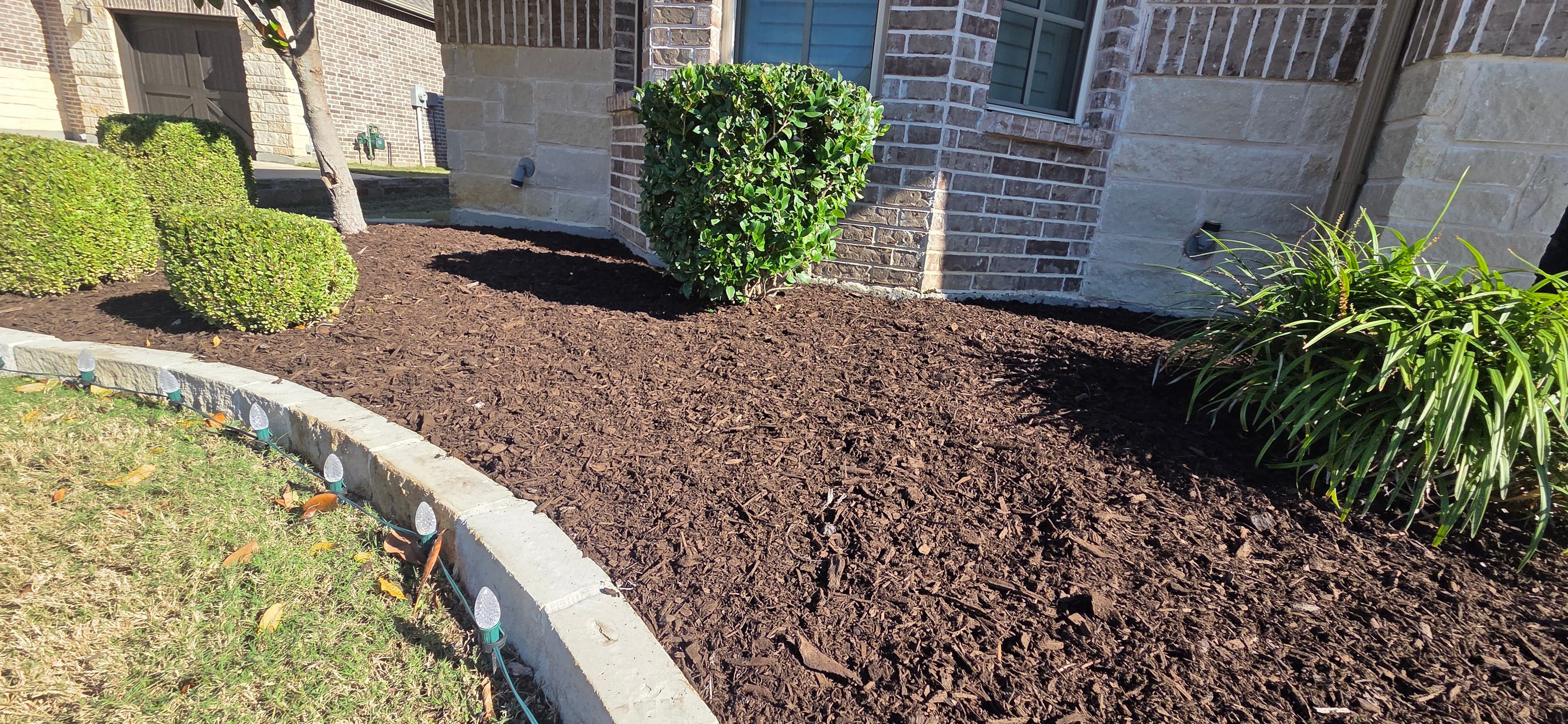 Project Fresh Mulch and Shrub Trimming Spotlight in Lantana and Flower Mound image