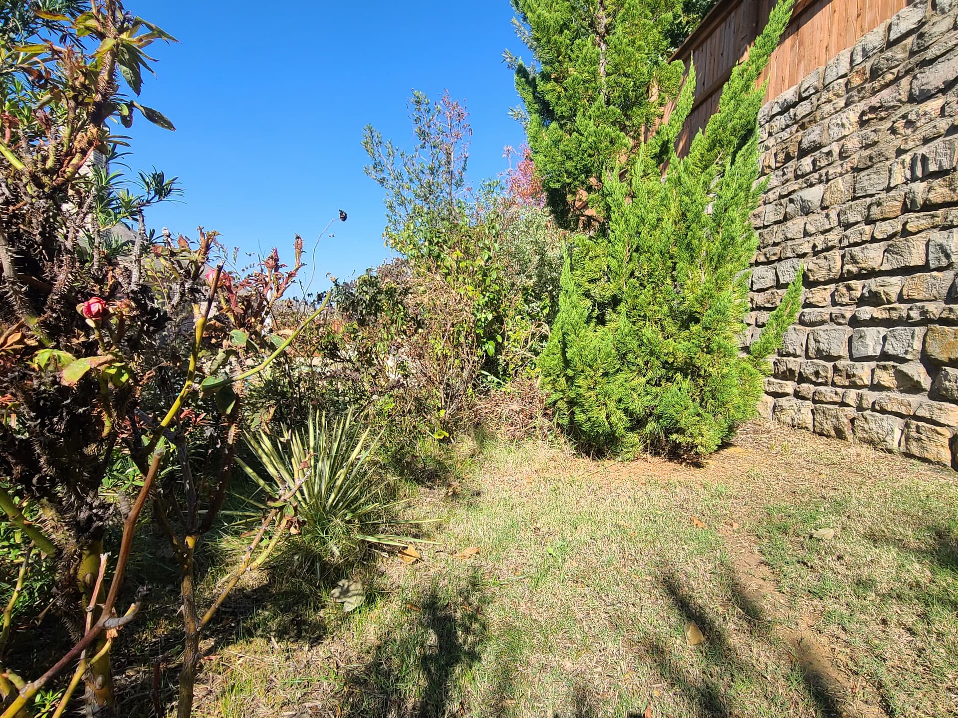 Gallery photos for Fresh Mulch and Shrub Trimming Spotlight in Lantana and Flower Mound: Image #3