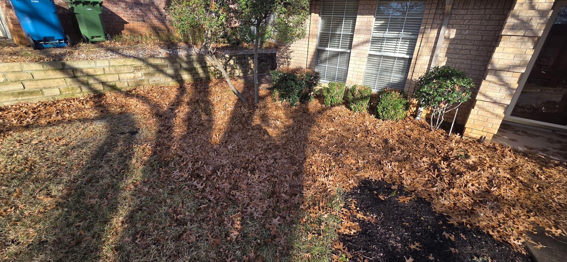 Gallery photos for Expert Leaf Cleanup in Grapevine TX: Image #5