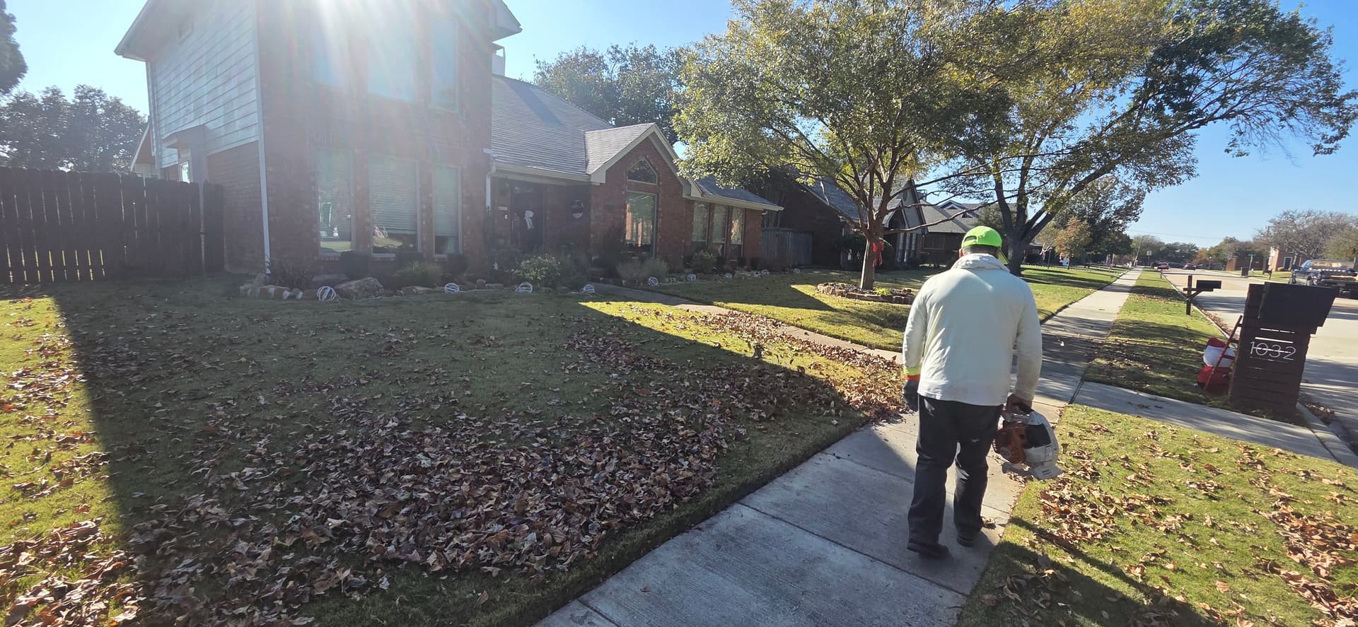 Leaf Cleanup and Lawn Precision in Lewisville TX image