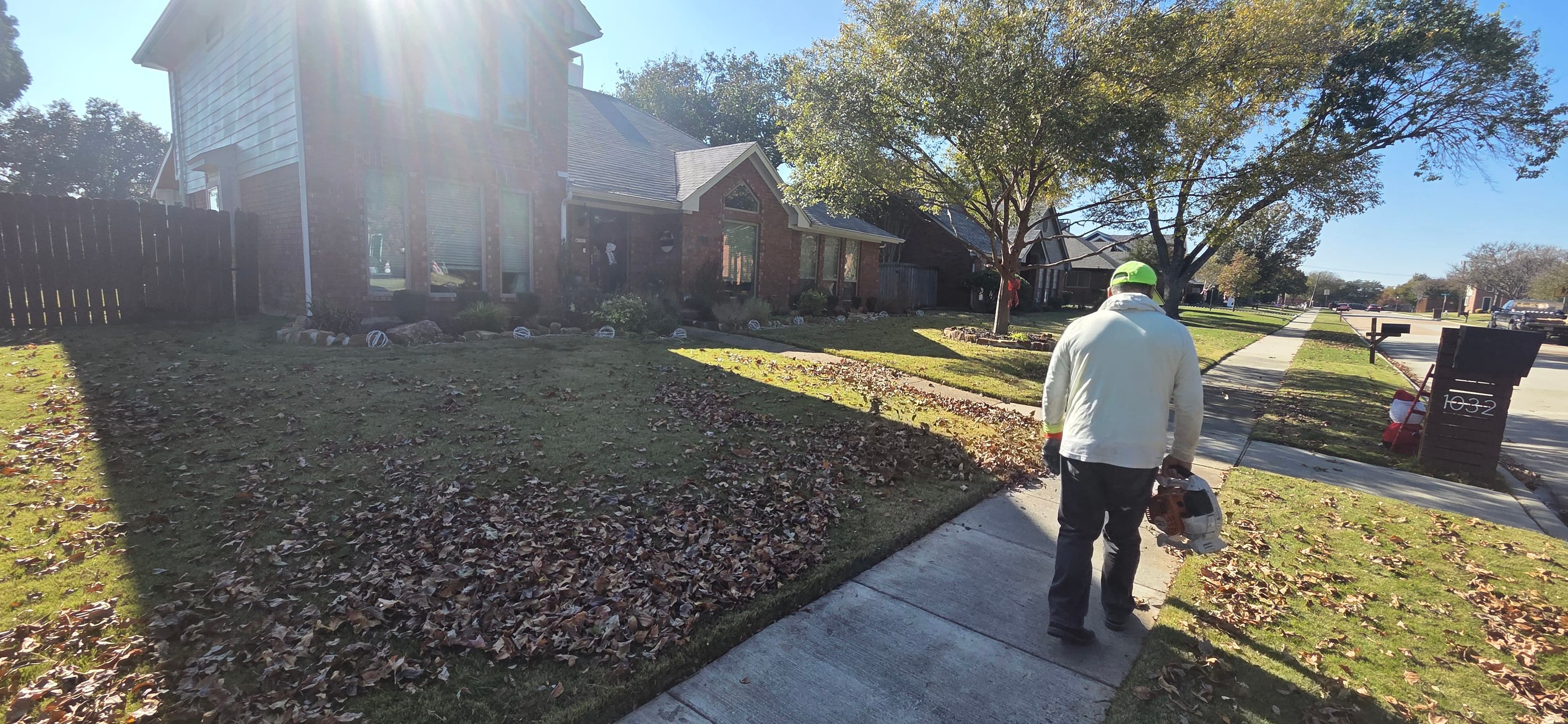Project Leaf Cleanup and Lawn Precision in Lewisville TX image