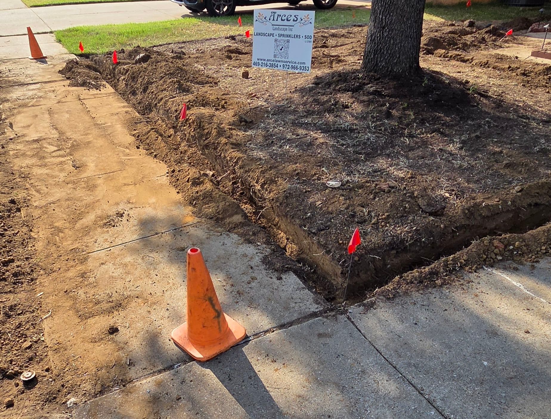 Gallery photos for Lawn Mastery: From Barren to Beautiful in Highland Village: Image #2