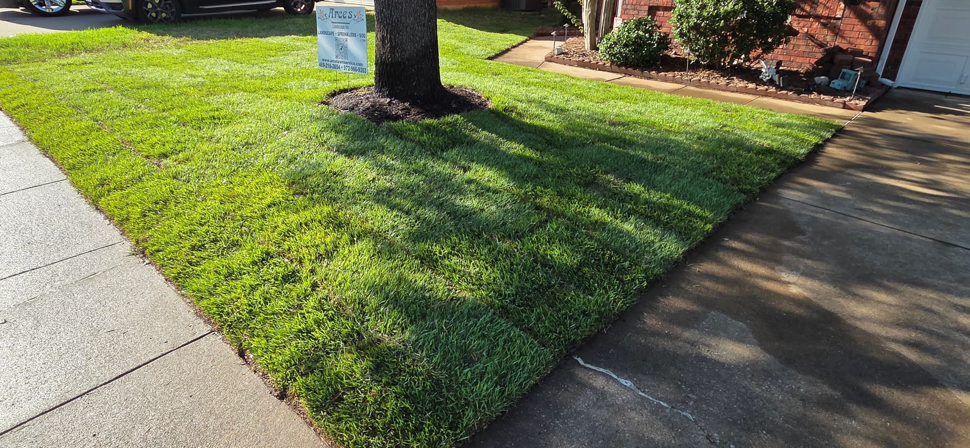 Gallery photos for Lawn Mastery: From Barren to Beautiful in Highland Village: Image #4