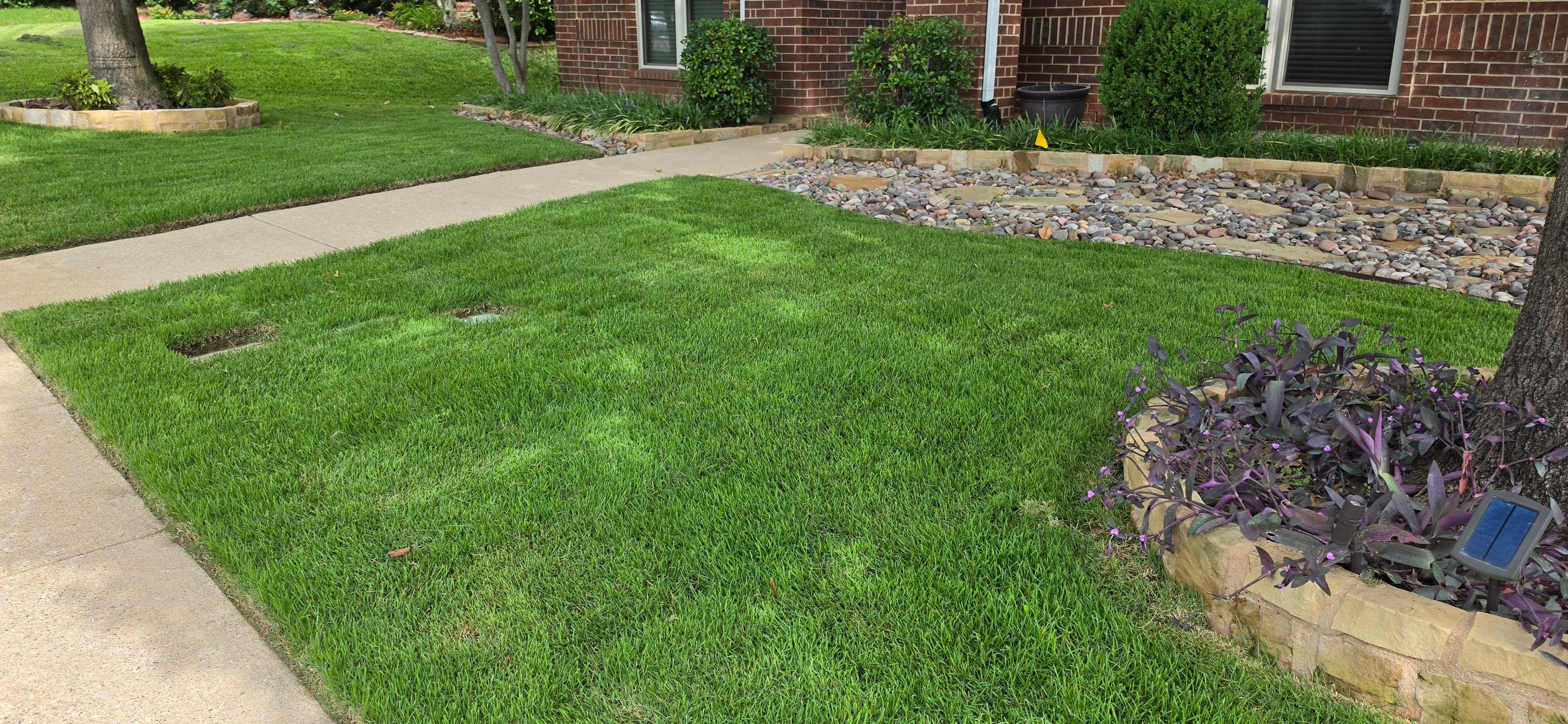 Project Palisades Zoysia Sod Installation Fixes a Struggling Front Lawn image