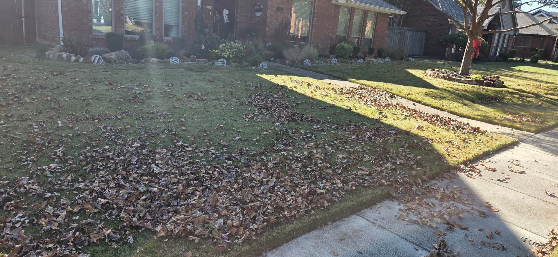 Gallery photos for Leaf Cleanup and Lawn Precision in Lewisville TX: Image #1