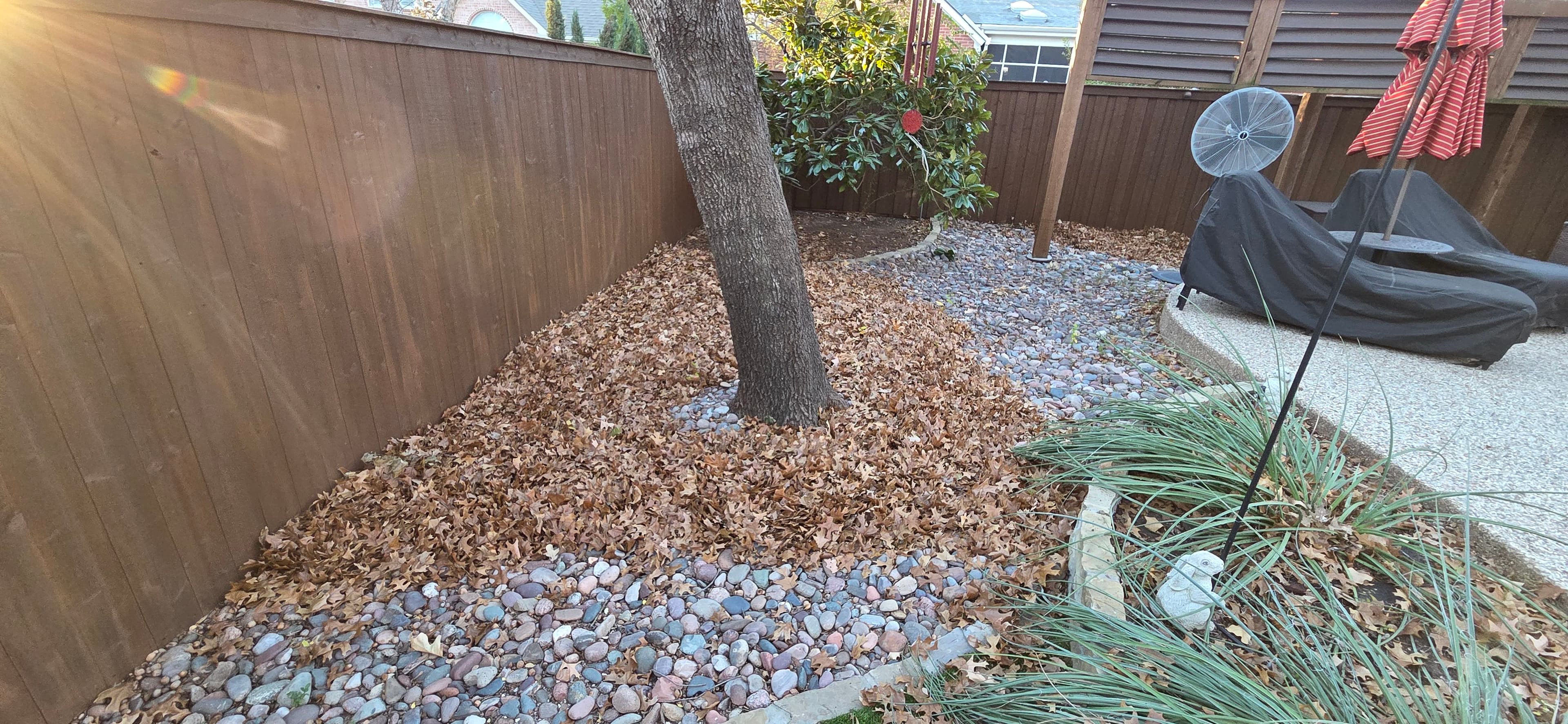Project Leaves Cleanup and Lawn Care for Your Home image