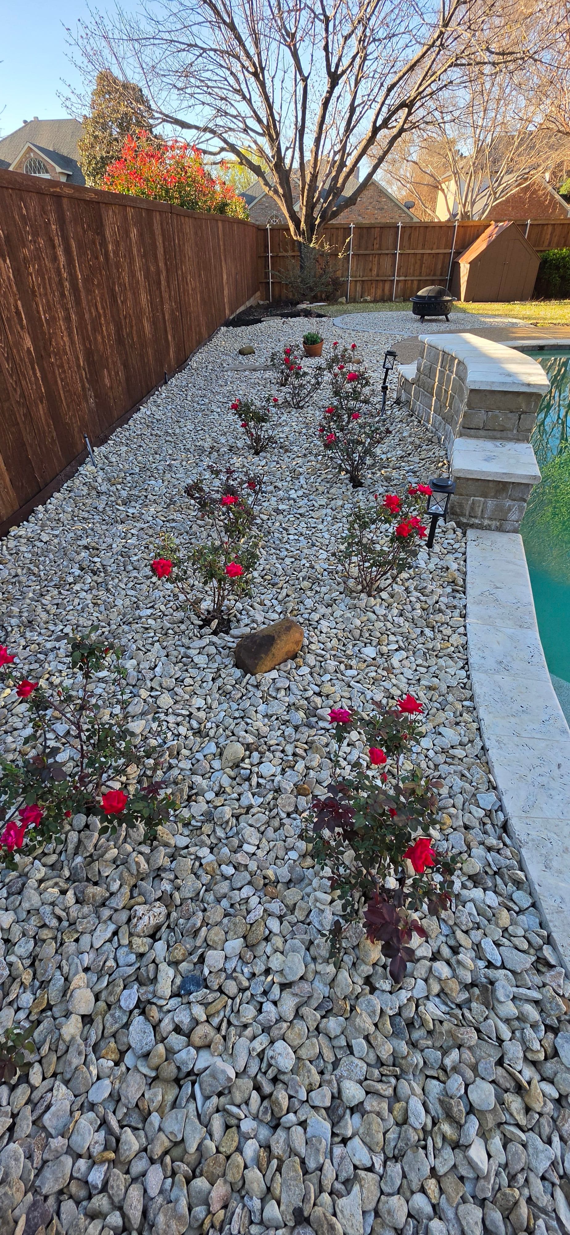 Gallery photos for Backyard Refresh in Flower Mound: Image #3