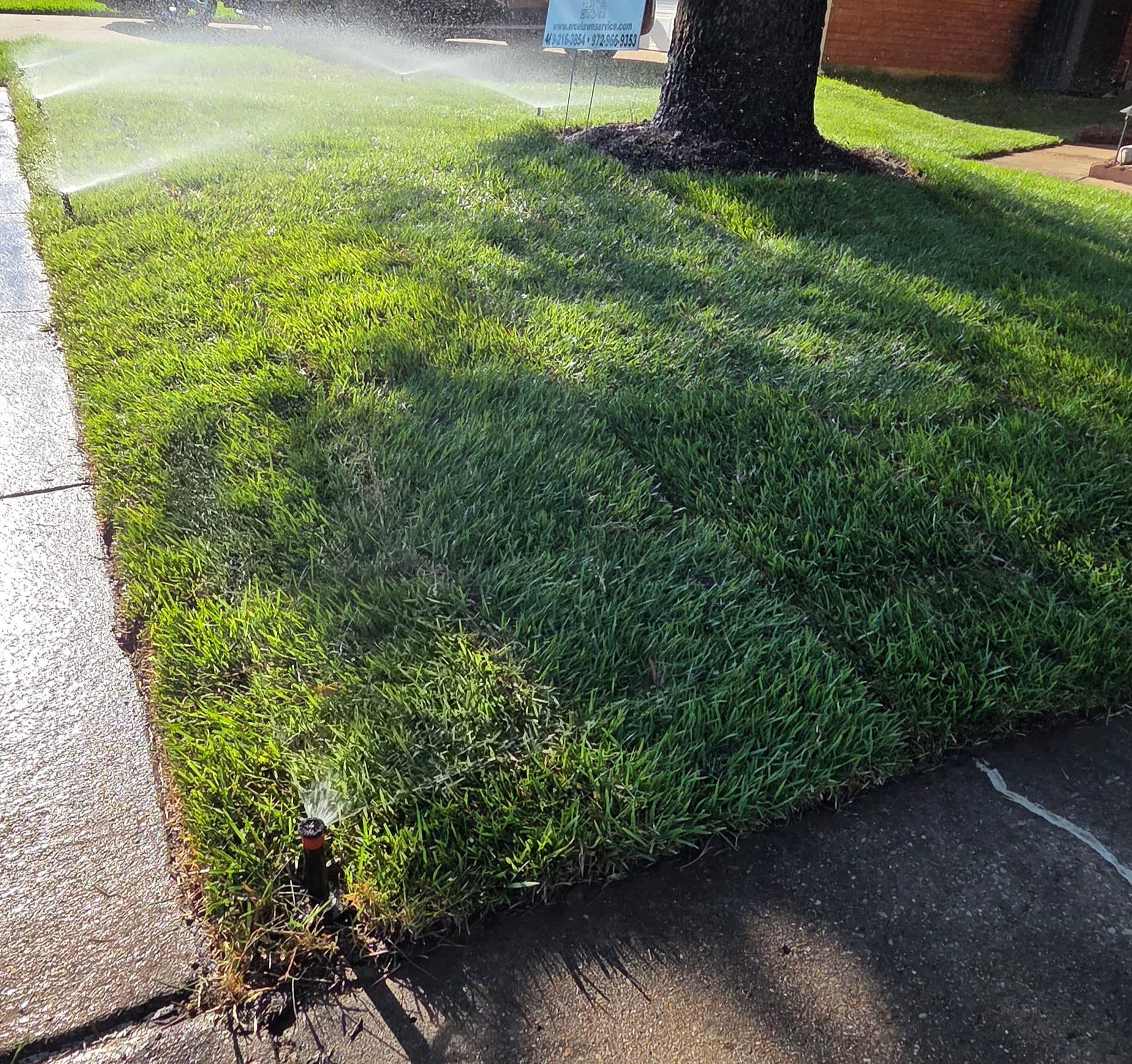 Lawn Mastery: From Barren to Beautiful in Highland Village image