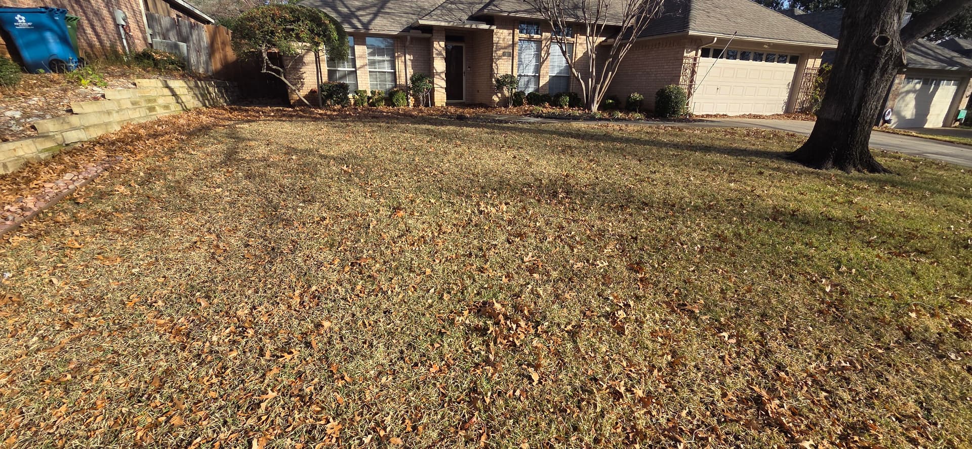 Gallery photos for Expert Leaf Cleanup in Grapevine TX: Image #3
