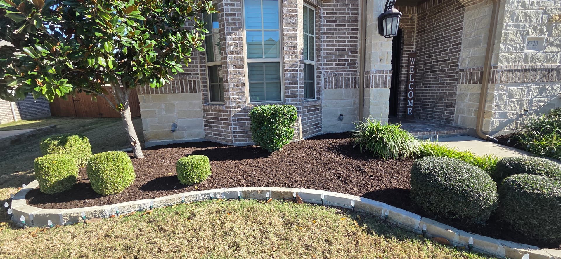 Gallery photos for Fresh Mulch and Shrub Trimming Spotlight in Lantana and Flower Mound: Image #1