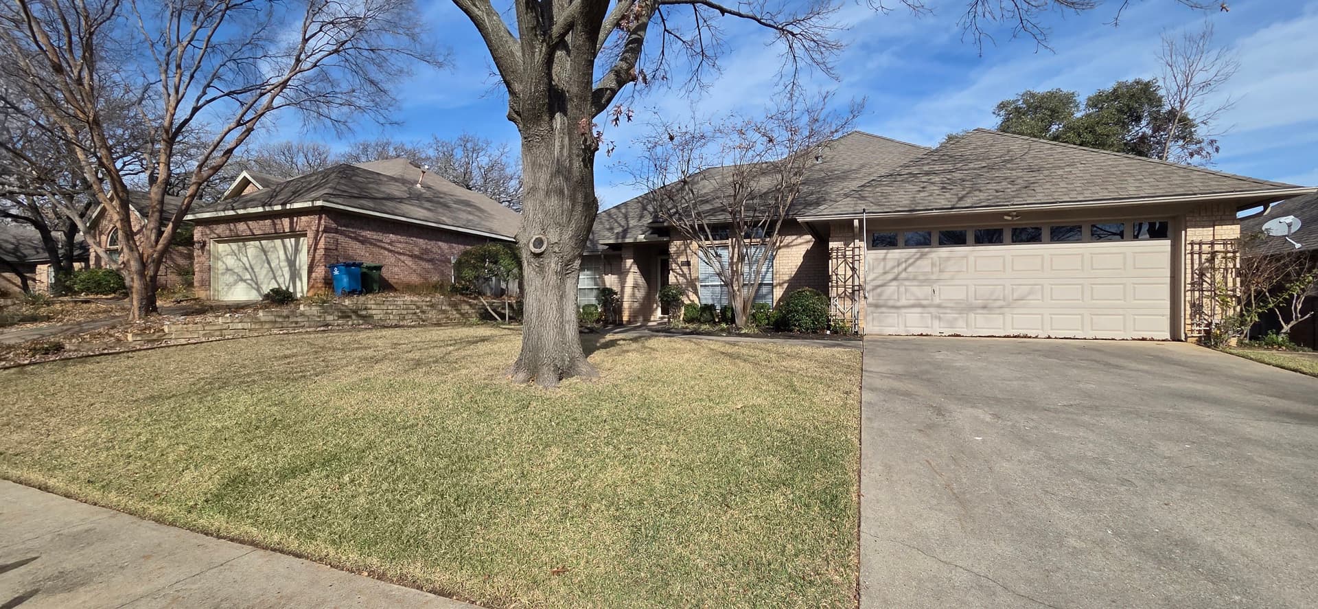 Expert Leaf Cleanup in Grapevine TX image