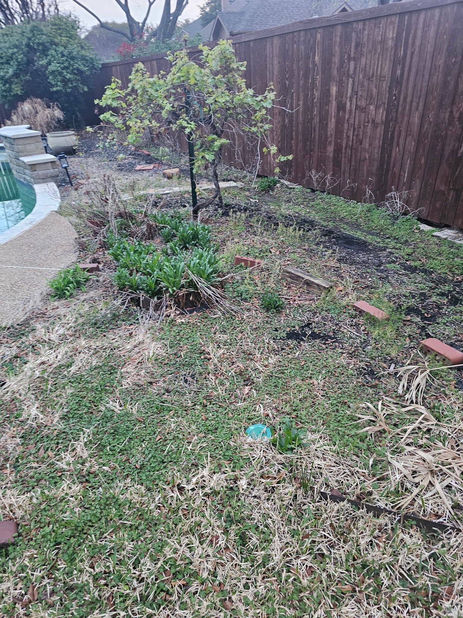 Gallery photos for Backyard Refresh in Flower Mound: Image #1