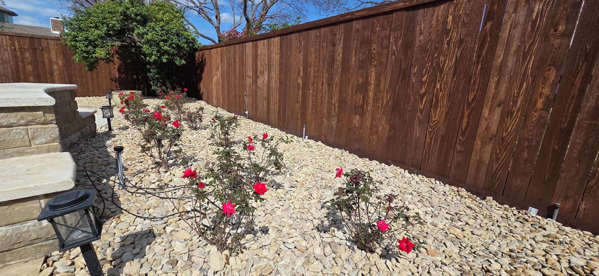 Gallery photos for Backyard Refresh in Flower Mound: Image #4