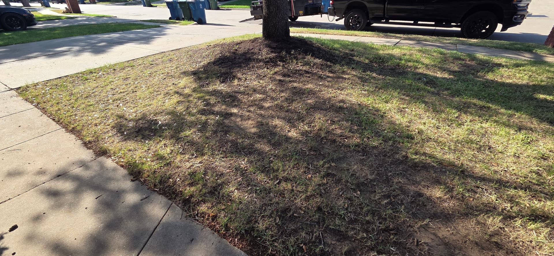 Gallery photos for Lawn Mastery: From Barren to Beautiful in Highland Village: Image #1