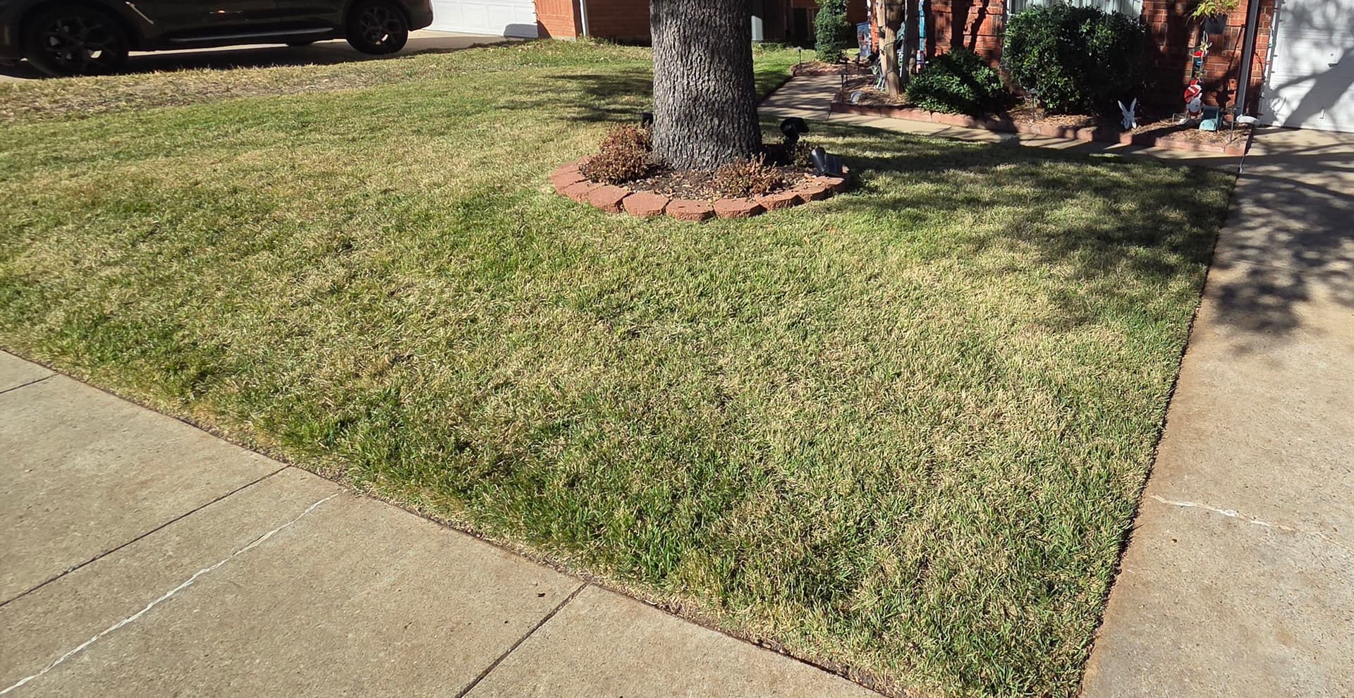 Gallery photos for Leaves Cleanup and Lawn Care for Your Home: Image #5