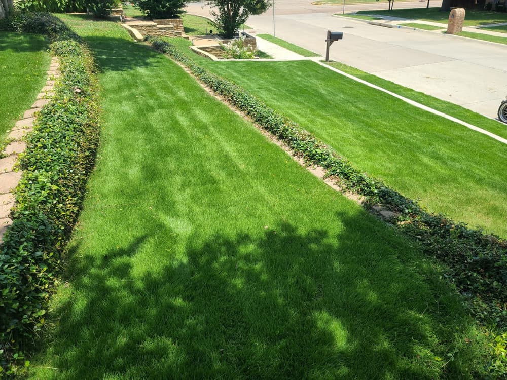 Landscape & Lawn Maintenance Services