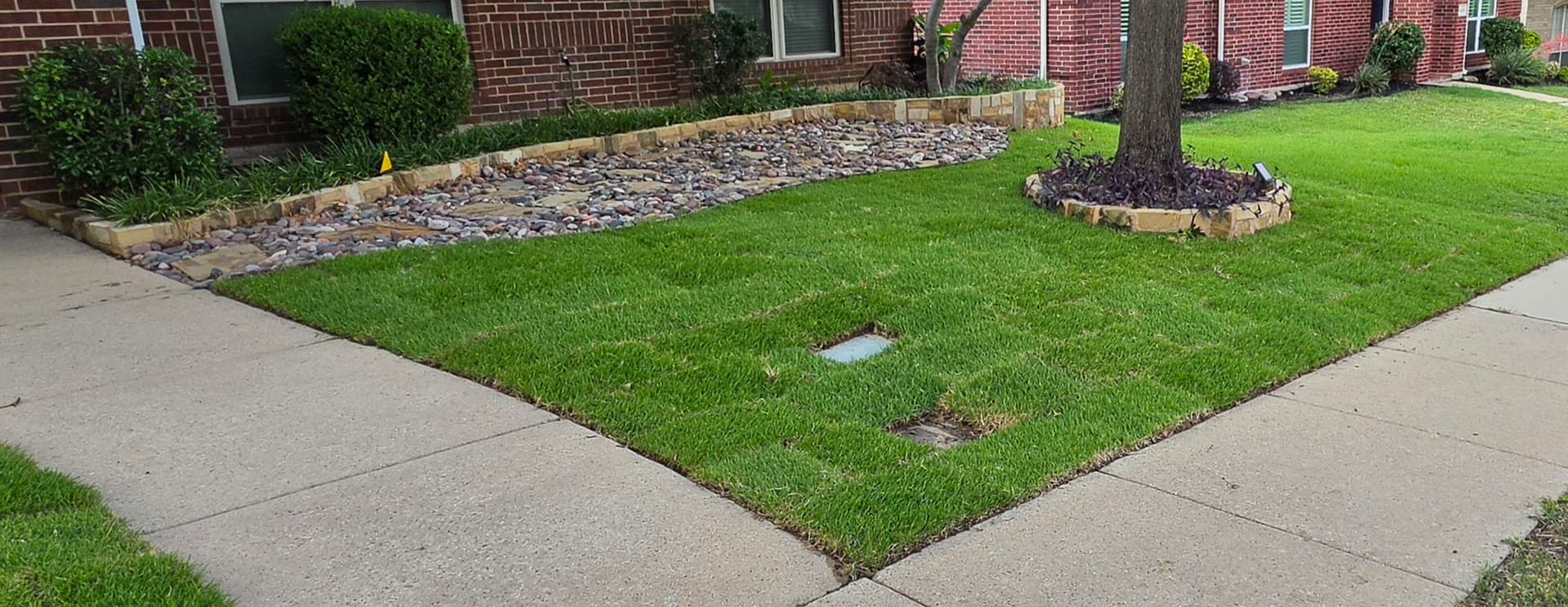 Gallery photos for Palisades Zoysia Sod Installation Fixes a Struggling Front Lawn: Image #1