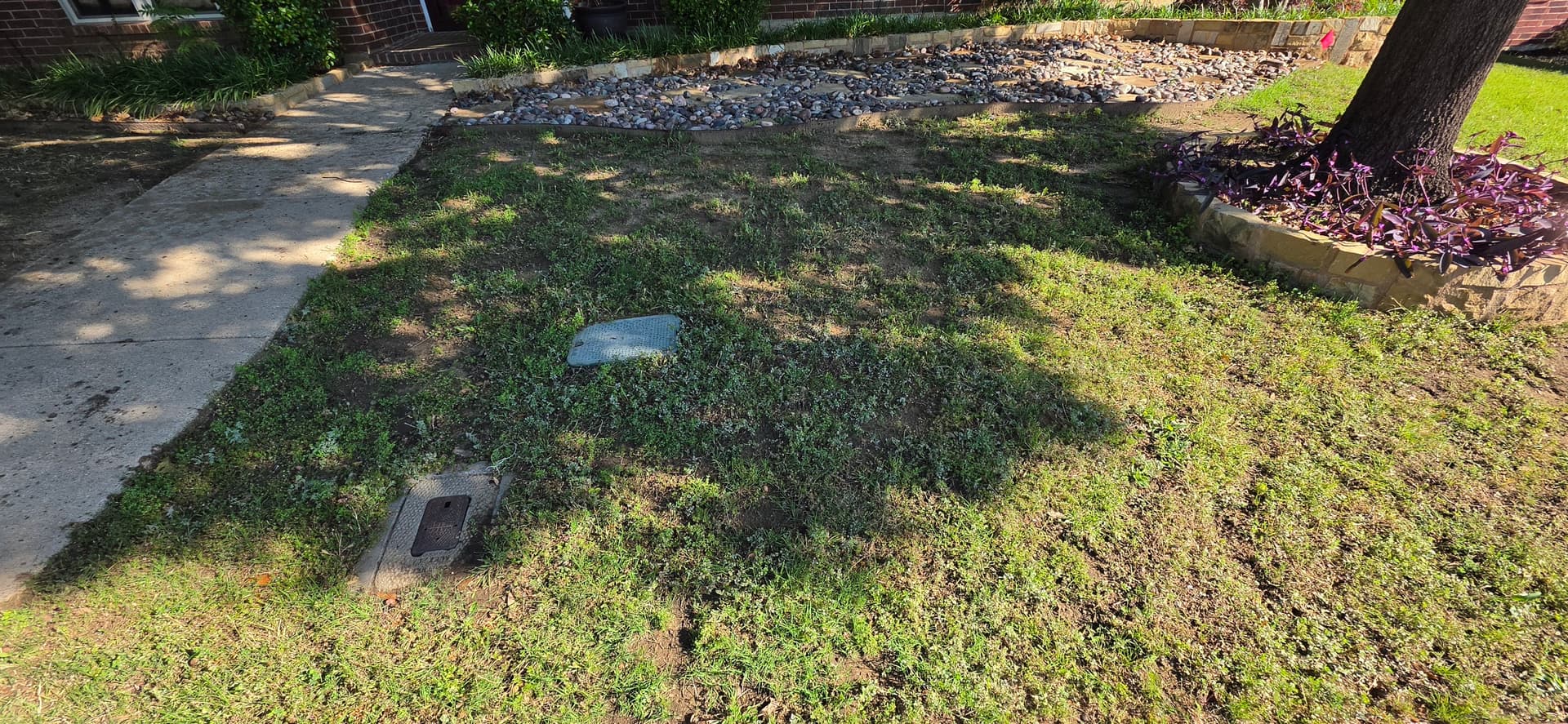 Gallery photos for Palisades Zoysia Sod Installation Fixes a Struggling Front Lawn: Image #2