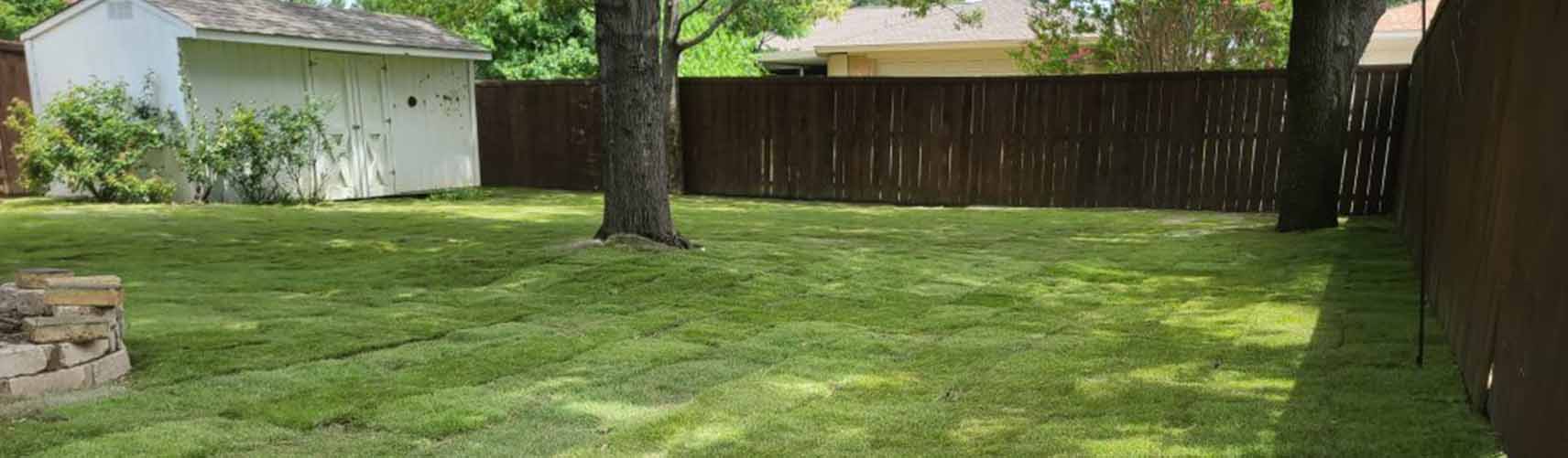 Lewisville Landscaping Company, Lawn Care Services and Landscaper